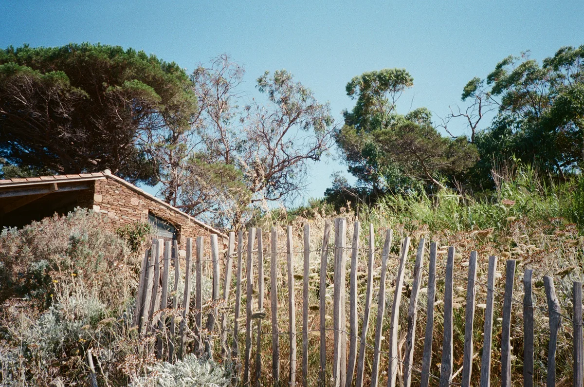 Photo by Matteo Negri
