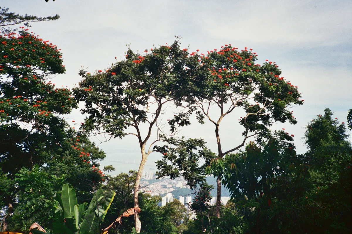 Bukit Bendera