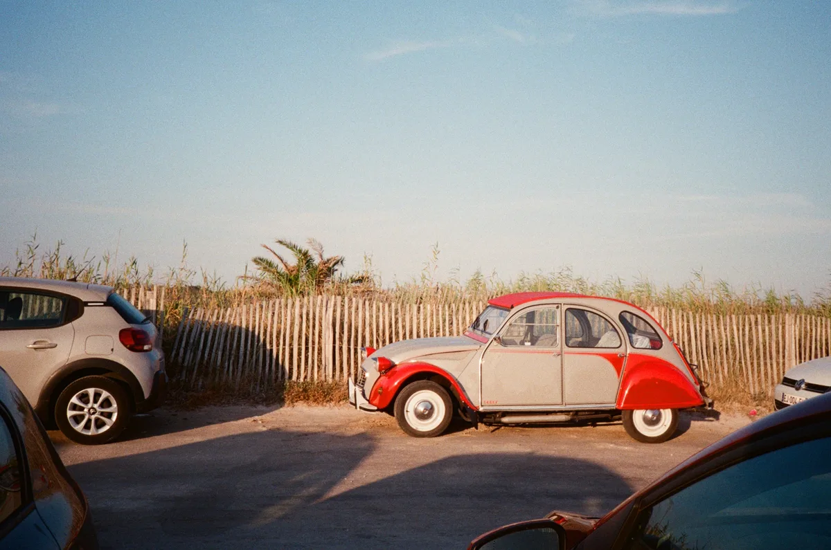 Photo by Matteo Negri